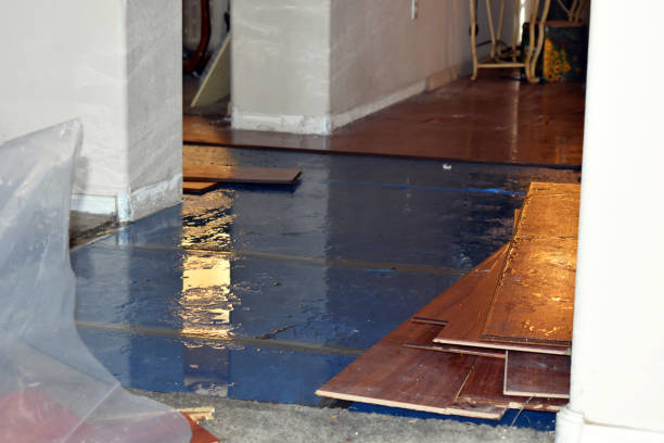 Professional Water Damage Restoration technician working in Oriska, ND